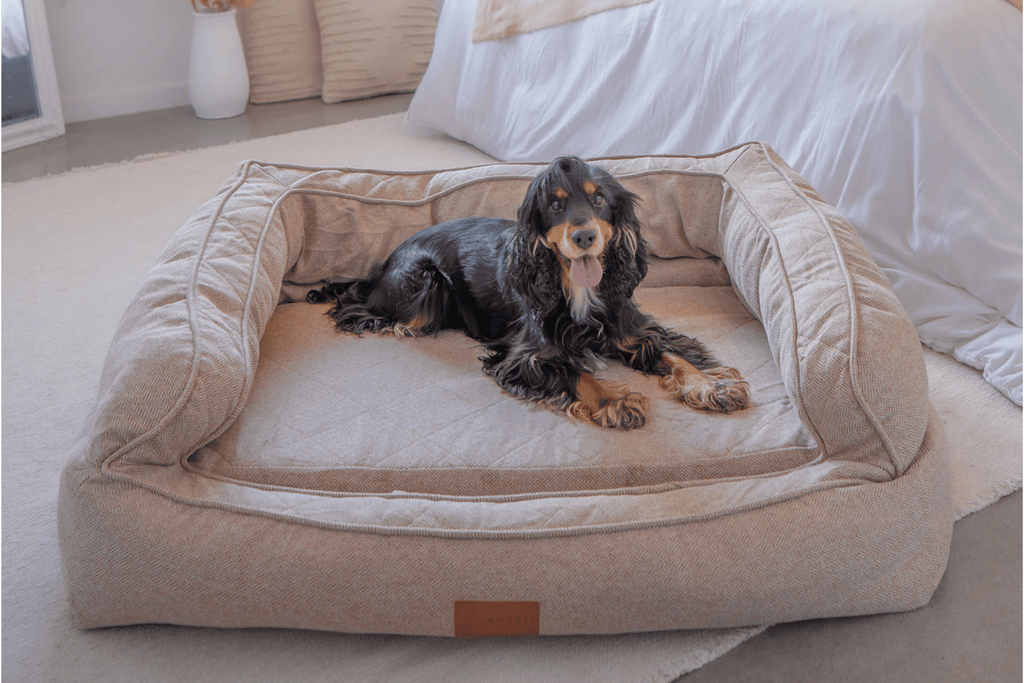 The importance of washable dog beds: keeping your dog’s bed clean and hygienic